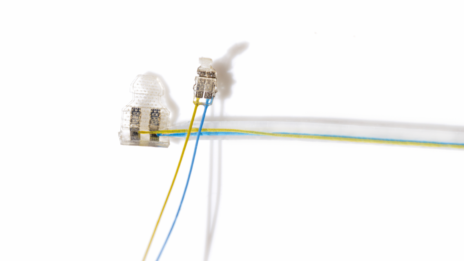 Against the Storm with the Vagus Nerve