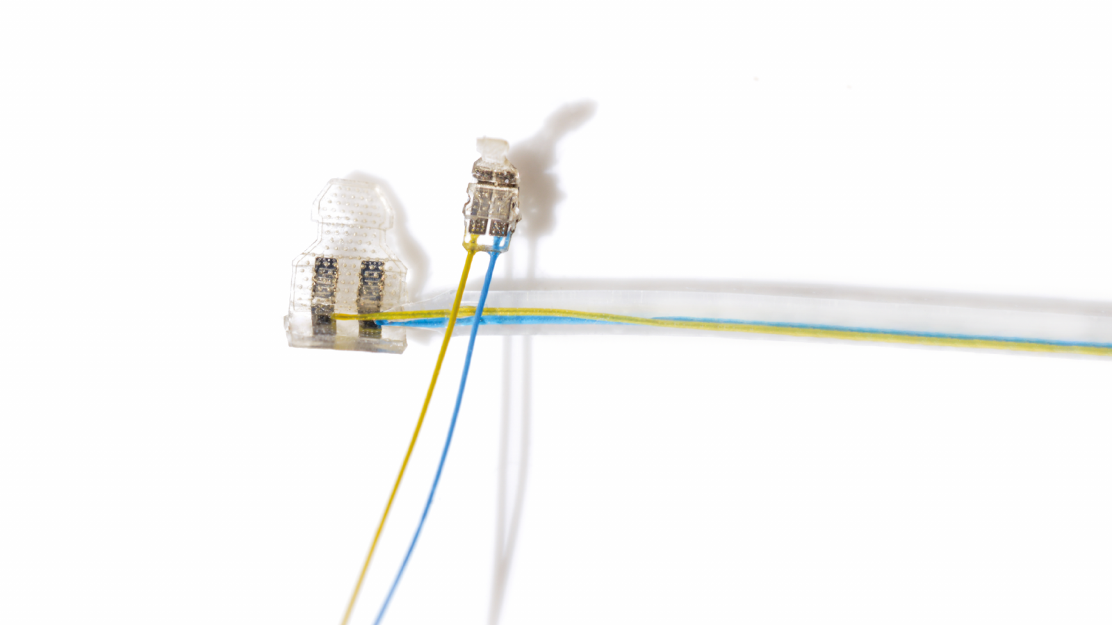 Against the Storm with the Vagus Nerve
