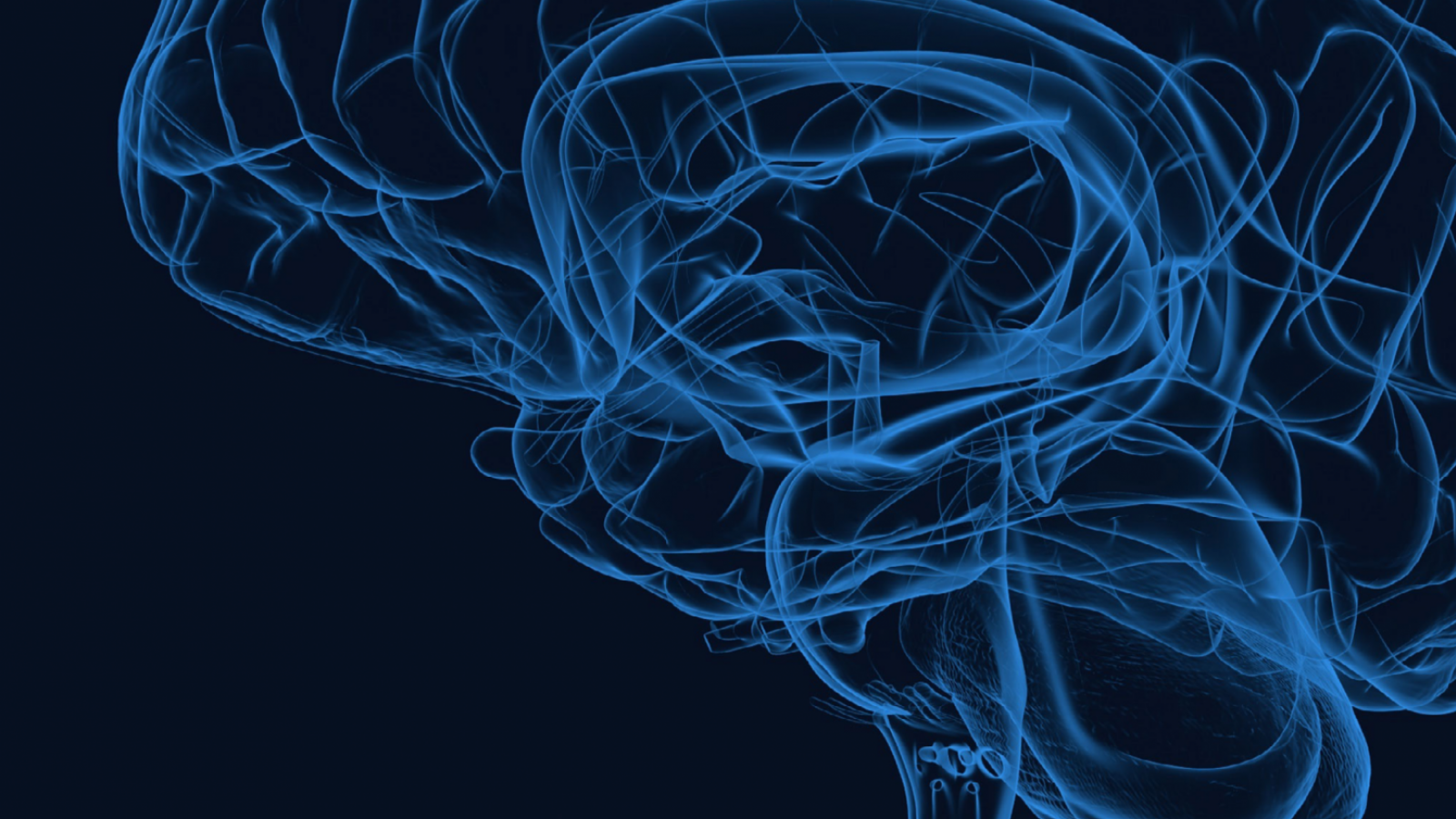 Brain Interchange&trade; System Sets a New Standard