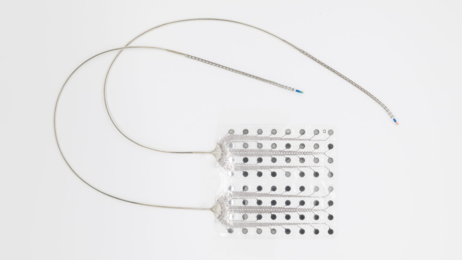 CorTec Brain Interface Electrodes Record Stable Signals for More Than Four Years