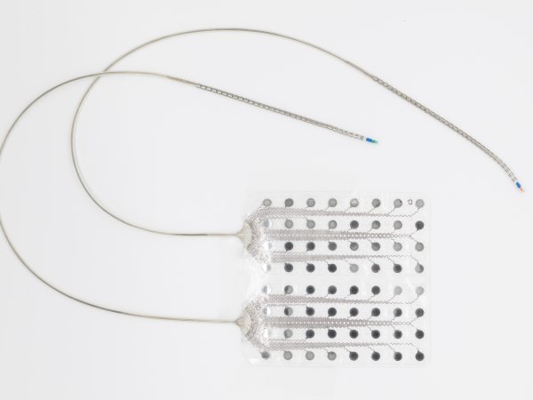 CorTec Brain Interface Electrodes Record Stable Signals for More Than Four Years