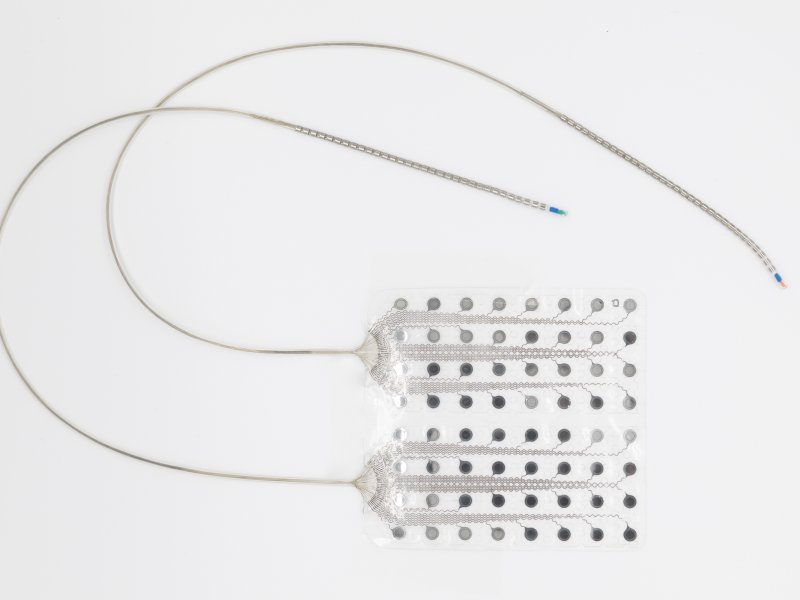 CorTec Brain Interface Electrodes Record Stable Signals for More Than Four Years