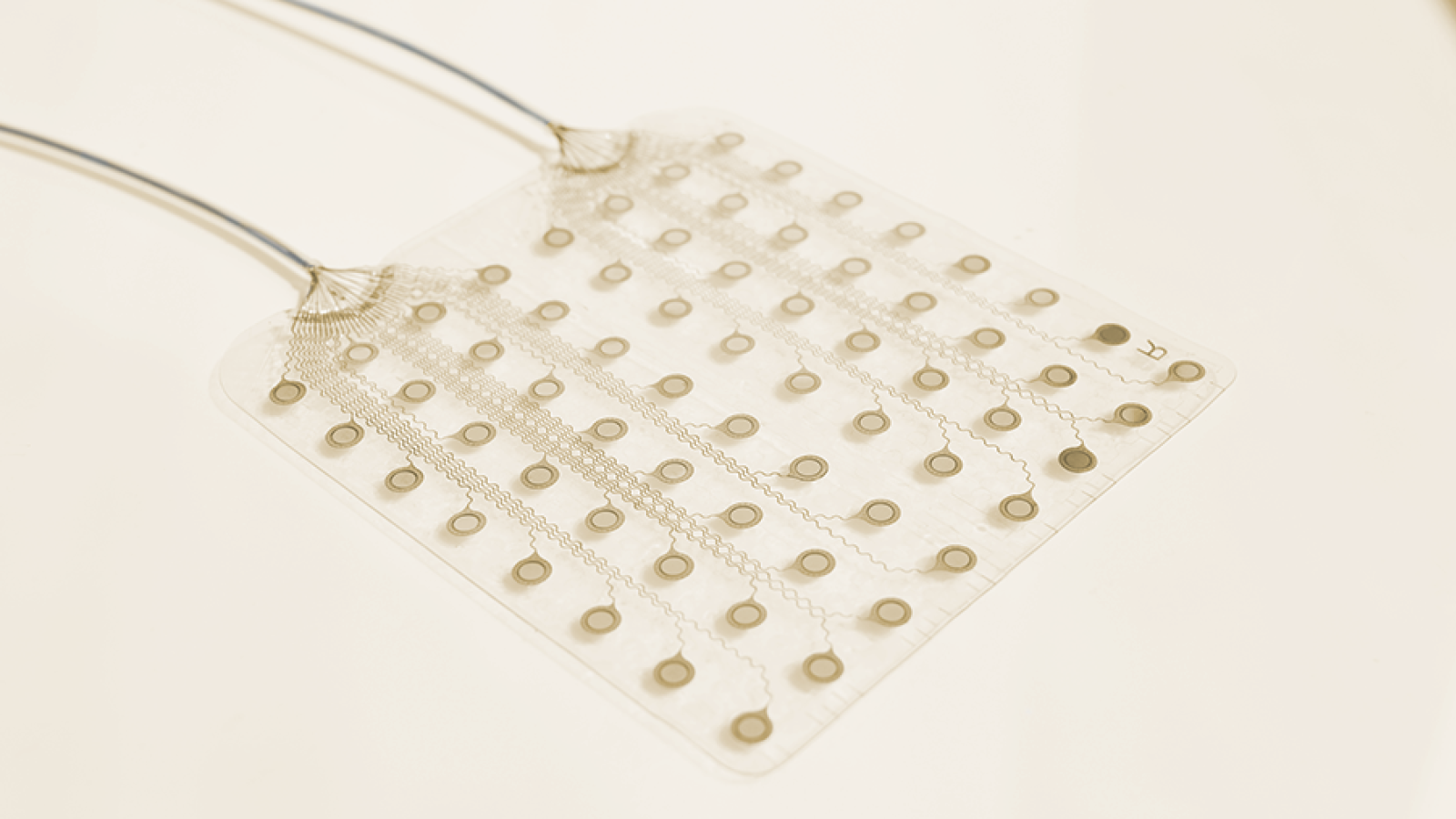 First CorTec Product Receives FDA Clearance