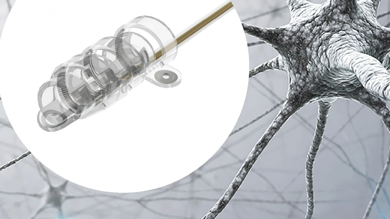 The long and winding road towards specific vagus nerve modulation