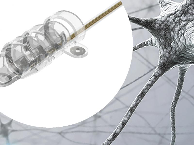 The long and winding road towards specific vagus nerve modulation