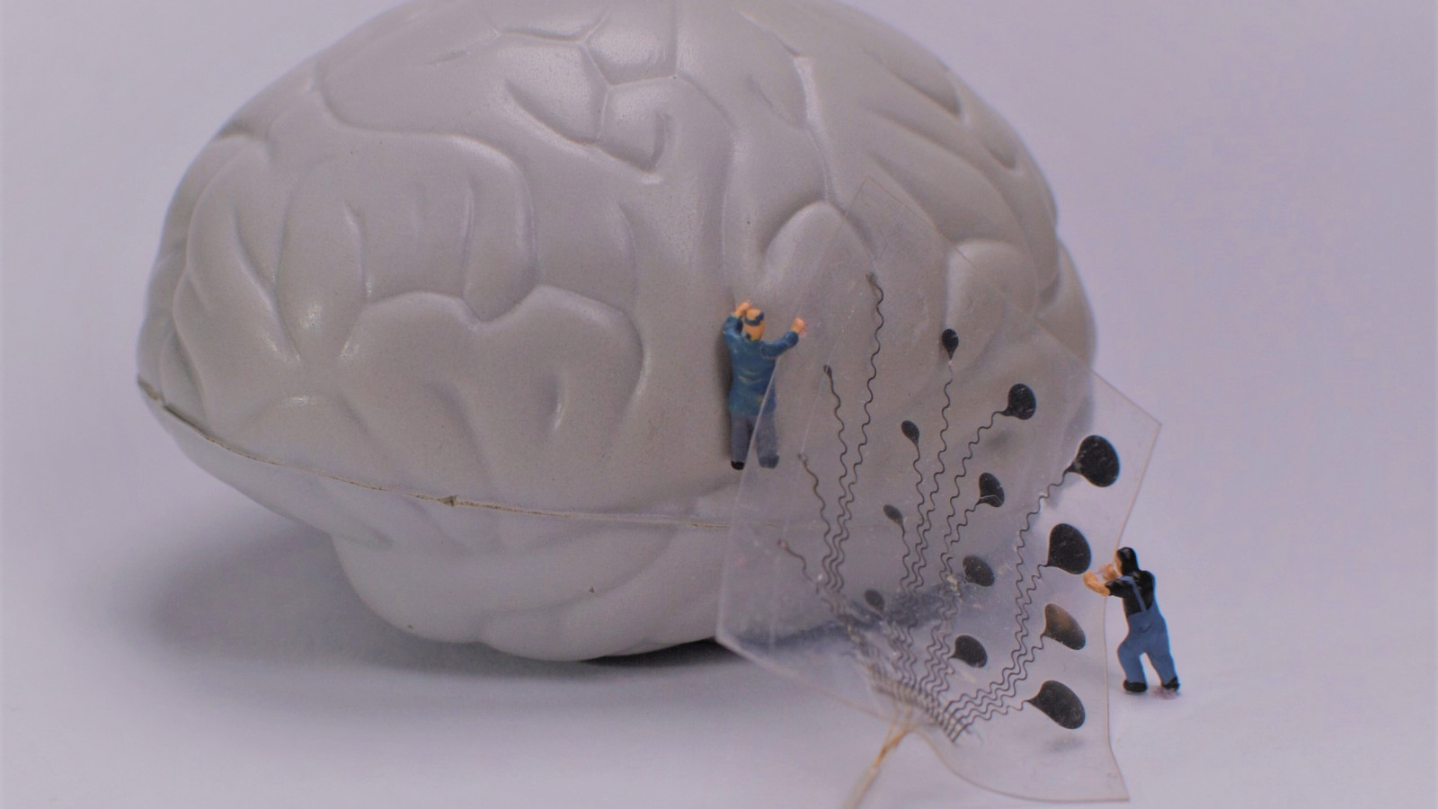 Speak your mind! - Pilot clinical study with severely paralyzed patients