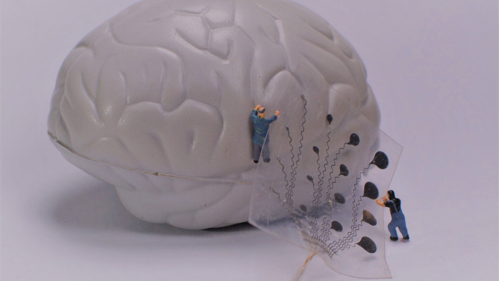 Speak your mind! - Pilot clinical study with severely paralyzed patients