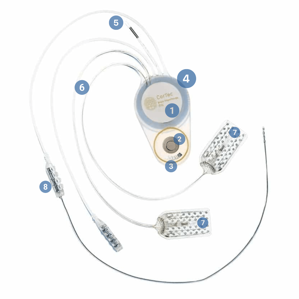CorTec Brain Interchange ONE - Brain Computer Interface - Active ...