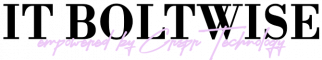 boltwise-logo-2025